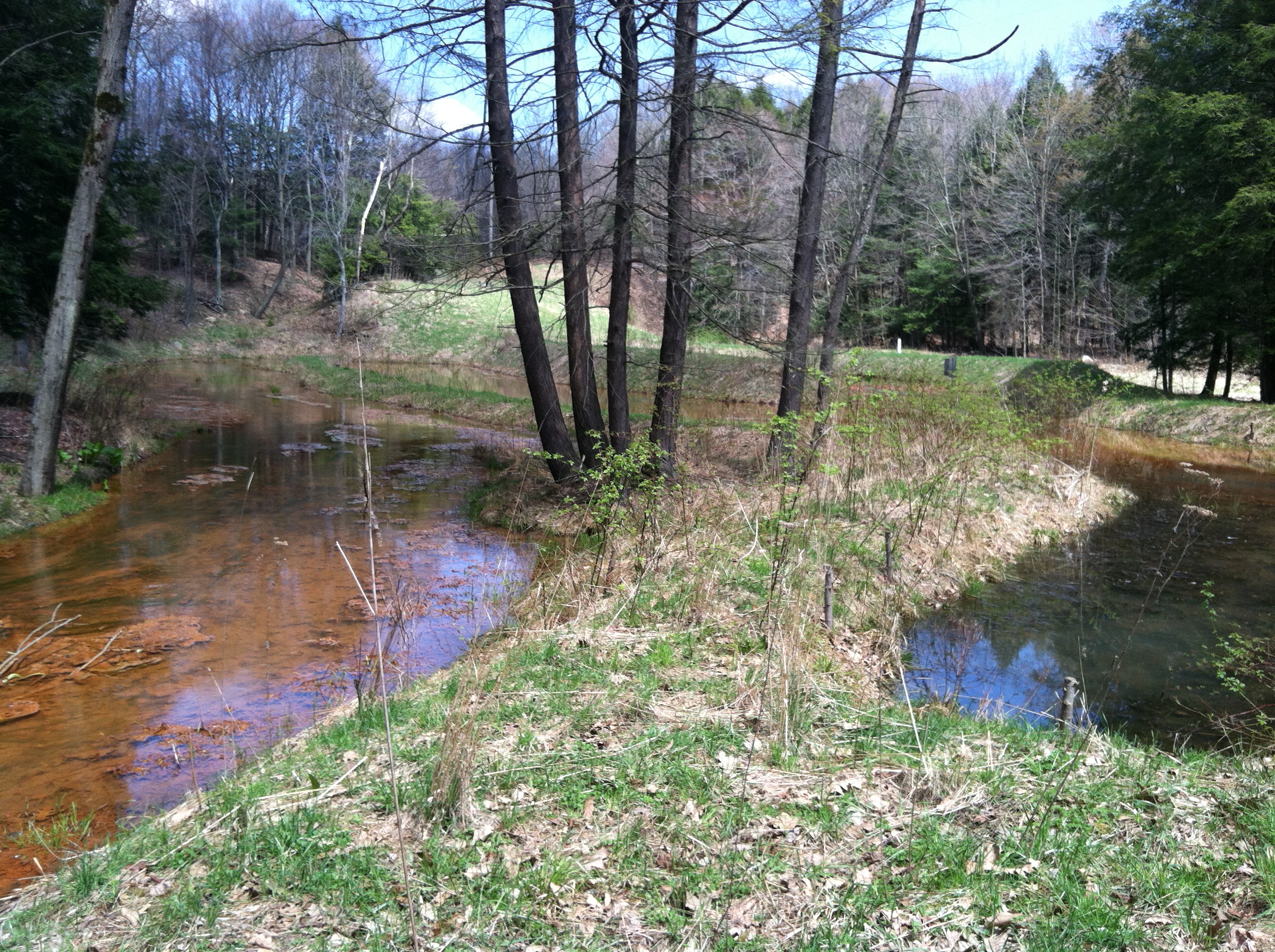 871 wl and aerobic wetland facing north northeast april 2013