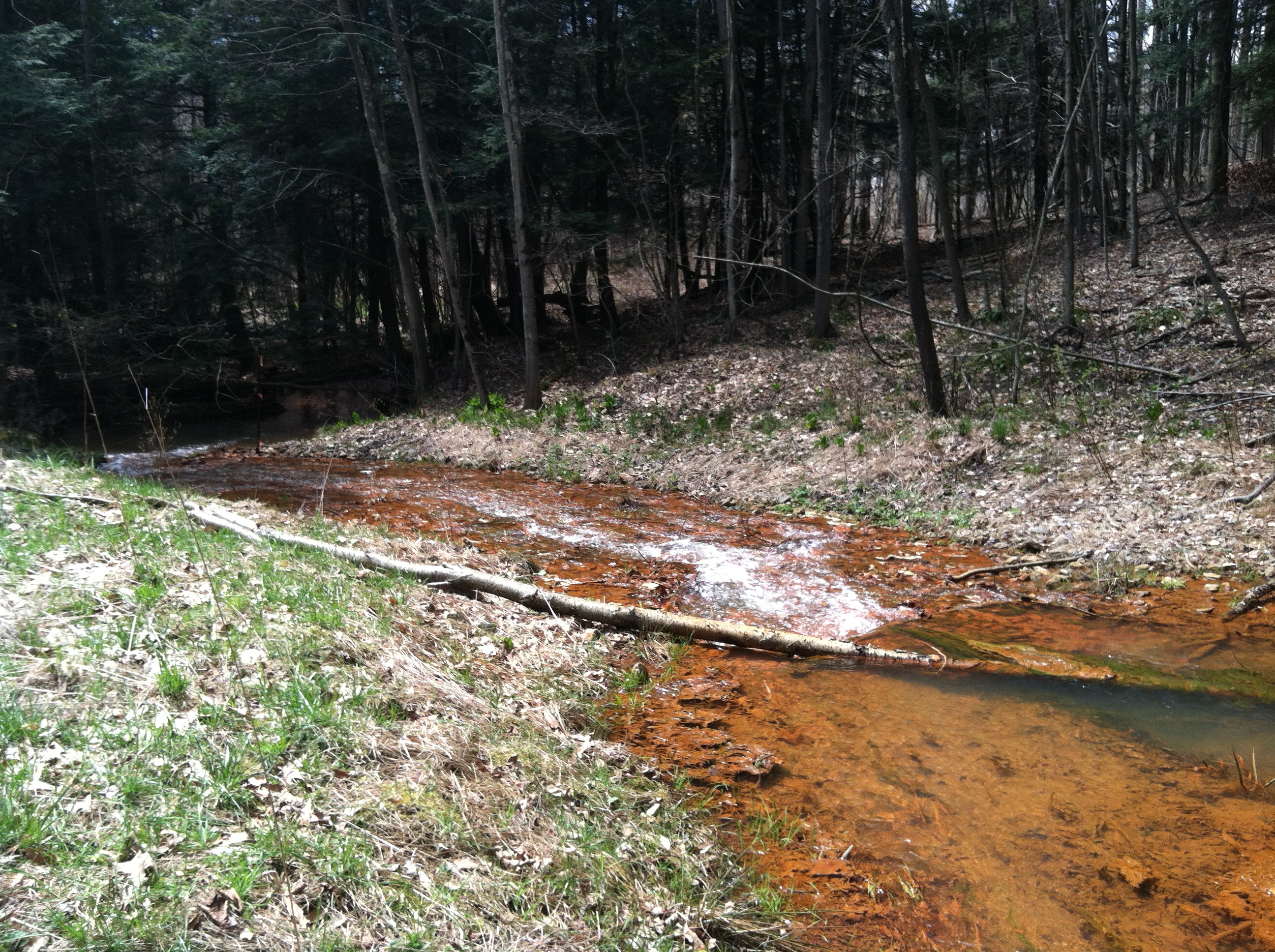 871 wl outlet into fox run riprap apron april 2013