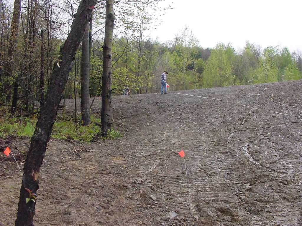 Conductivitysurvey1