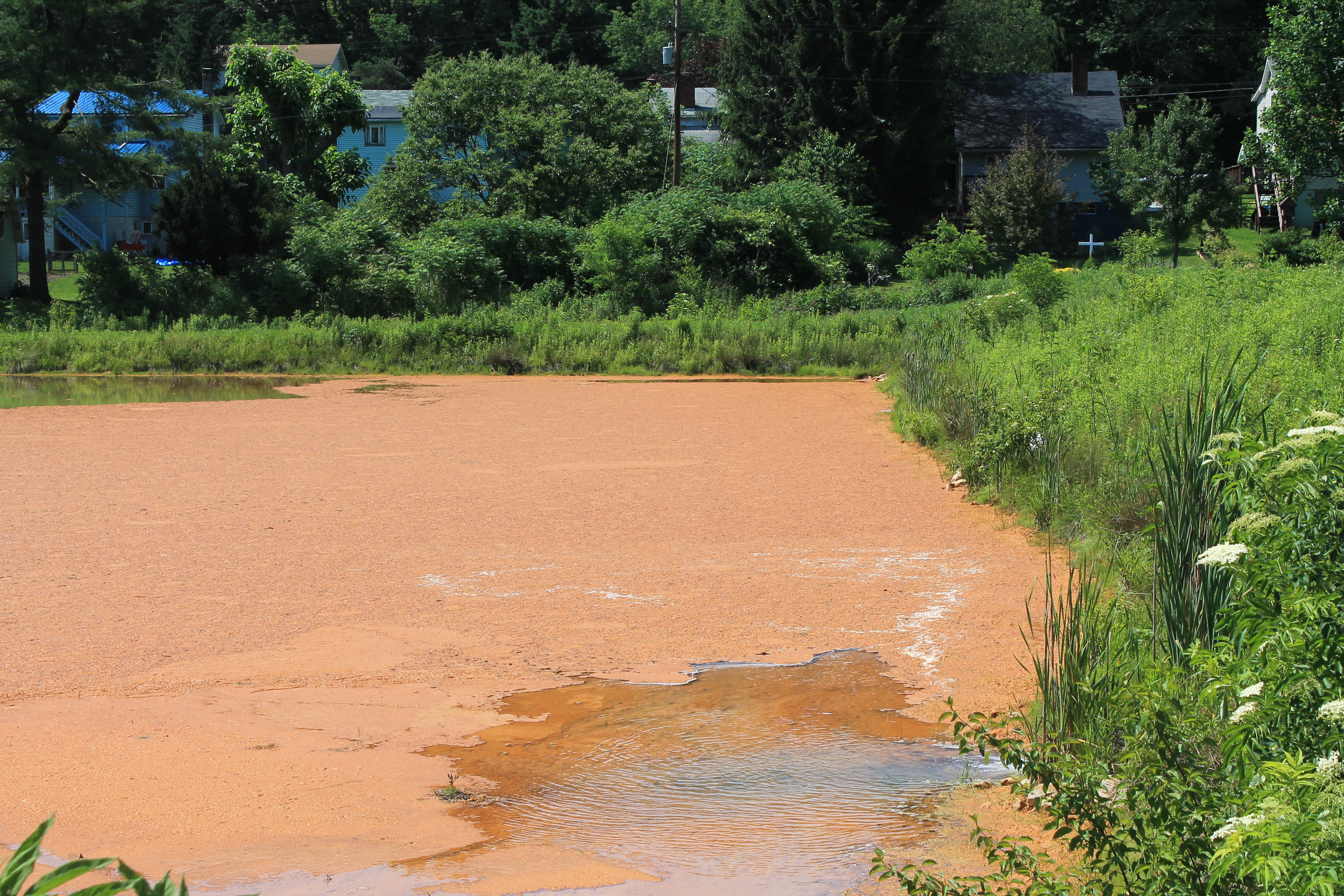 Sedimentation Pond before rehabilitation