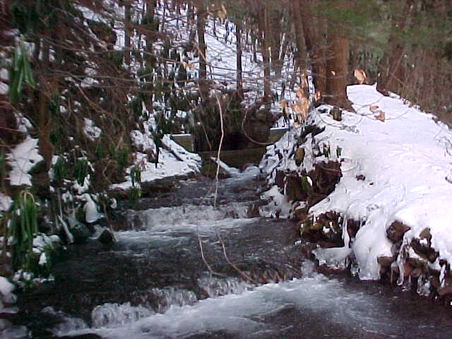 Oneida #3 Tunnel Mouth