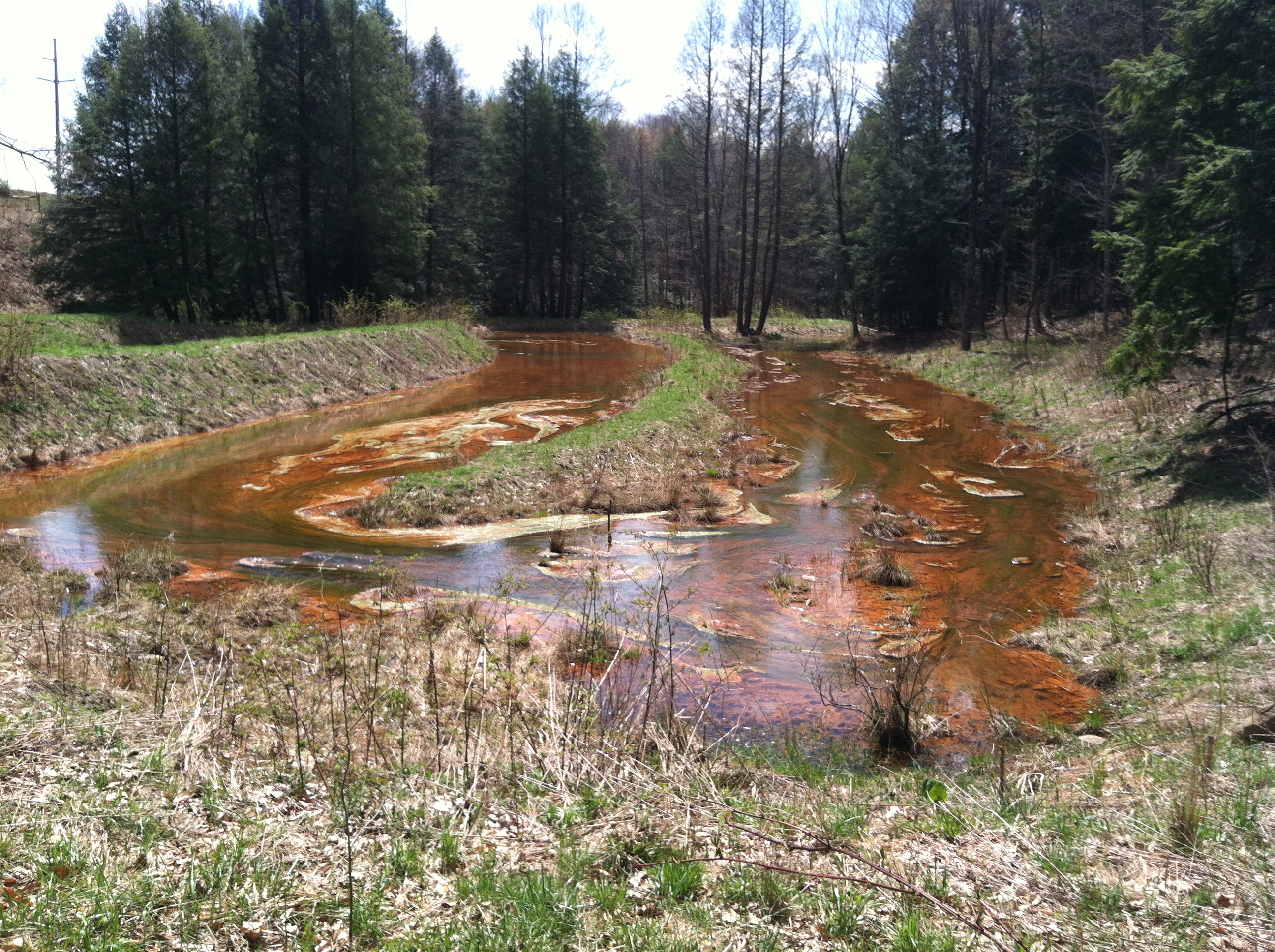 Overview of settling pond from northern bank facing south april 2013