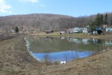 Sedimentation pond after rehabilitation