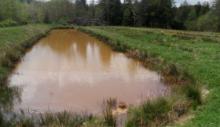 watershed