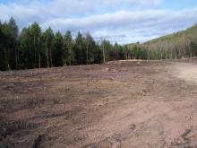 5 12 2005 clearing and grubbing at limestone tanks and settling ponds location