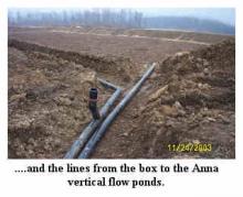 Anna lines and vfp