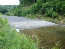 Minersville Limestone Bed