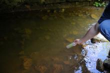 Downstream sampling site