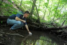datashed sample point