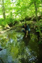 Upstream sampling point