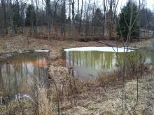 Fox run 1 20 13 021 spillway between settling pond and wetland facing north 0