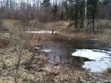 Fox run 1 20 13 025 wetland facing northeast