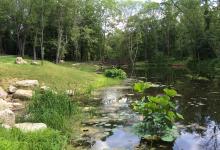 The formerly polluted pond in 2015