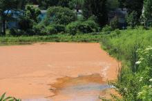 Sedimentation Pond before rehabilitation