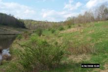 Before Construction - Sediment Pond and Revegetated Refuse Pile