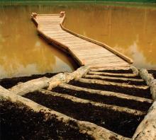 Wetland overlook