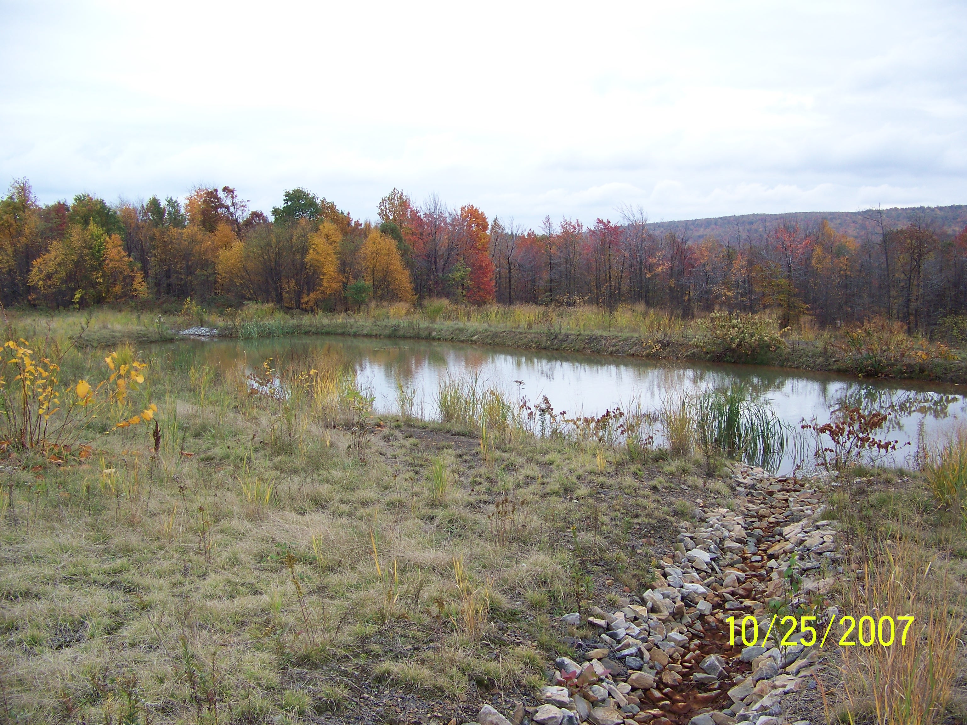 Vertical flow pond 2007